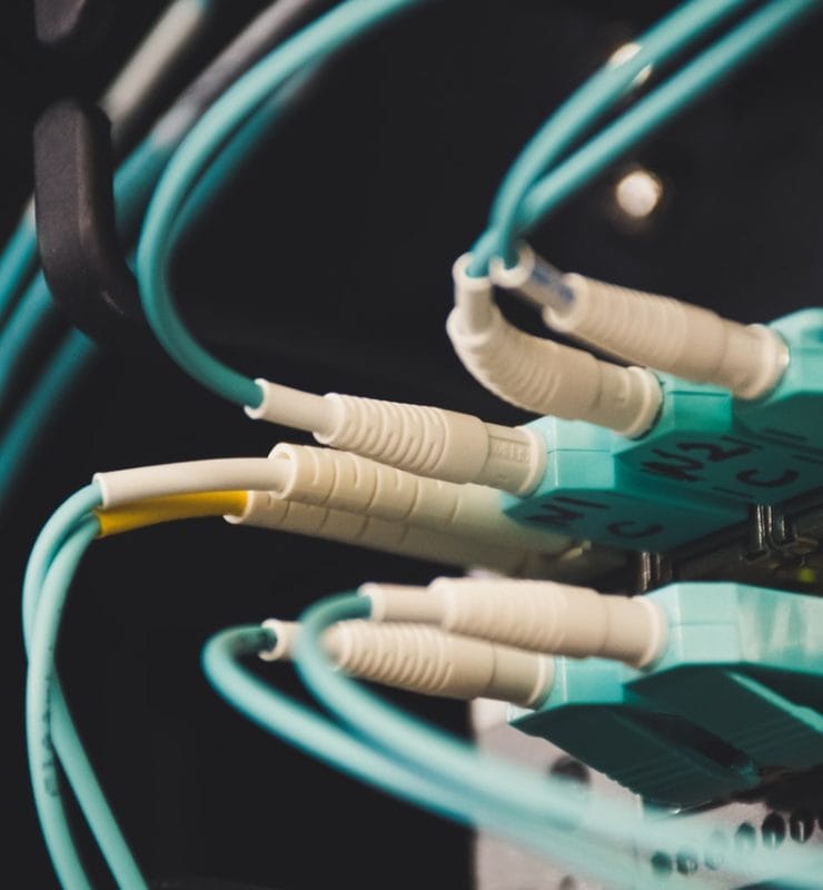 Meerdere datakabels die in een switch zitten bij een gastnetwerk